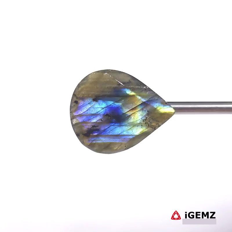 iGemz27441.1 13.96 ct Blue Labradorite - iGemz27441 gemstone for sale at igemz.co.za