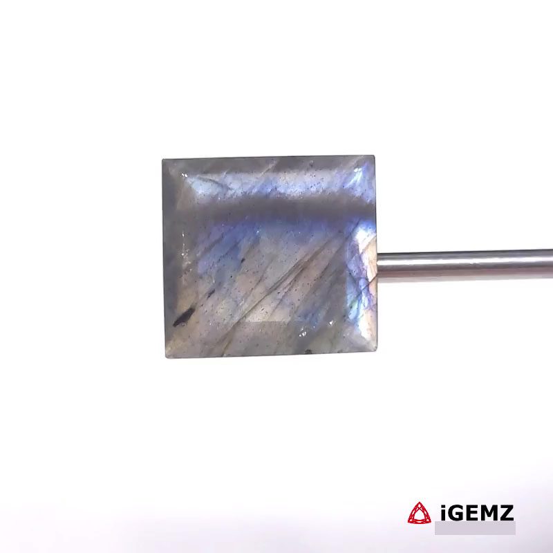 iGemz27442.1 23.37 ct Blue Labradorite - iGemz27442 gemstone for sale at igemz.co.za