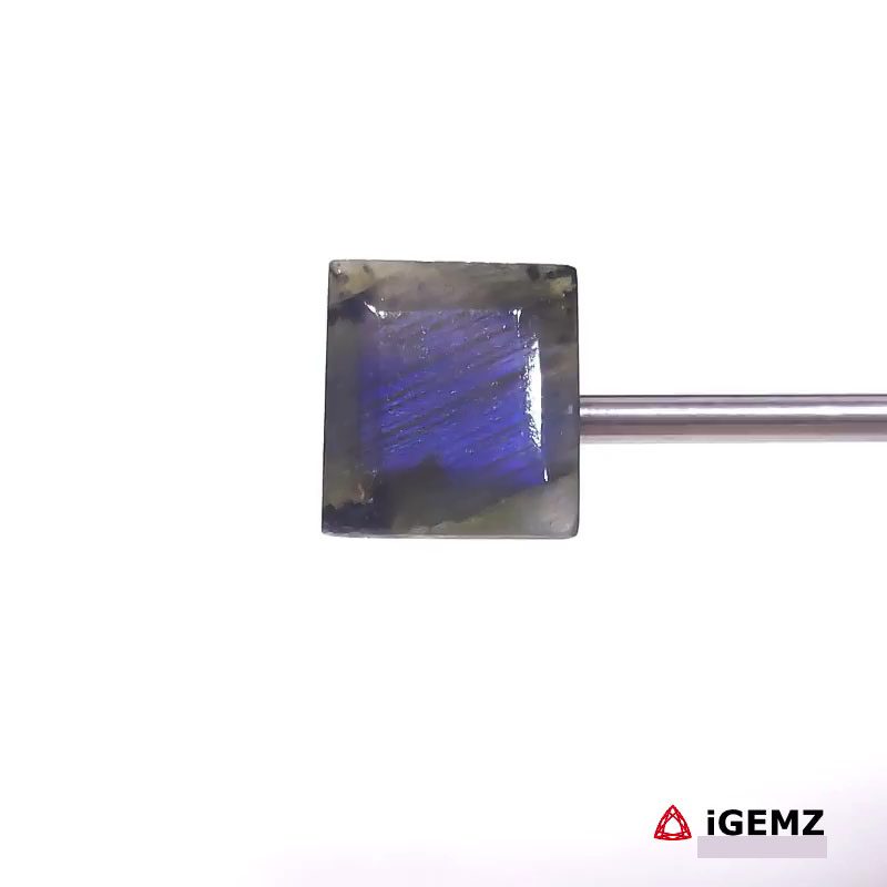 iGemz27446.1 12.76 ct Blue Labradorite - iGemz27446 gemstone for sale at igemz.co.za