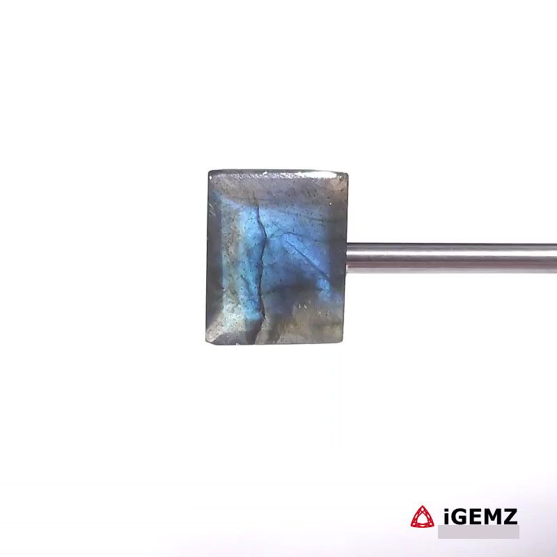 iGemz27448.1 9.82 ct Blue Labradorite - iGemz27448 gemstone for sale at igemz.co.za