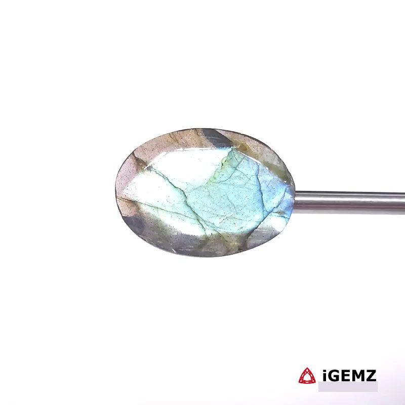 iGemz27453.1 12.15 ct Blue Labradorite - iGemz27453 gemstone for sale at igemz.co.za