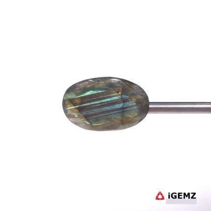 10.61 ct Blue Labradorite - iGemz27454 gemstone for sale at igemz.co.za