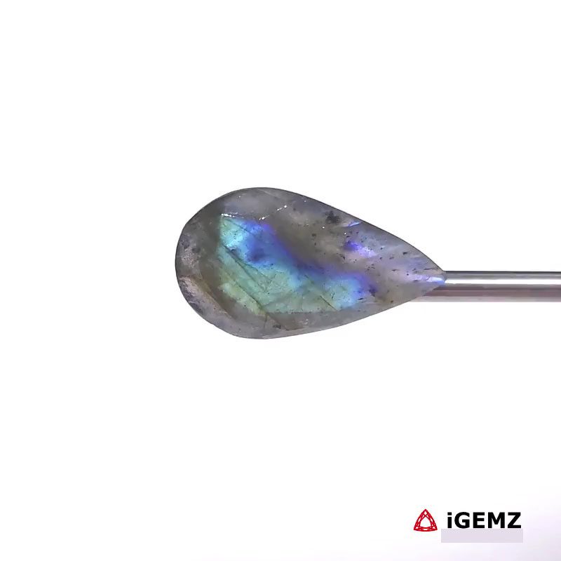 iGemz27456.1 12.59 ct Blue Labradorite - iGemz27456 gemstone for sale at igemz.co.za