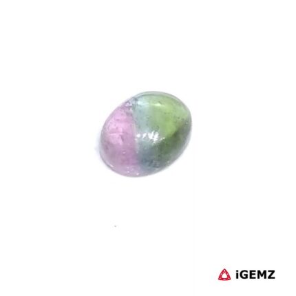 0.85 ct Bi-Colour Tourmaline - iGemz31740 gemstone for sale at igemz.co.za