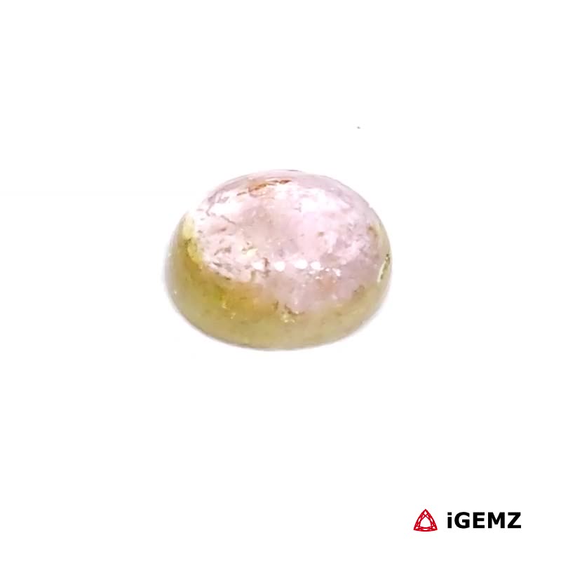 iGemz31752.1 1.4 ct Pink Tourmaline - iGemz31752 gemstone for sale at igemz.co.za