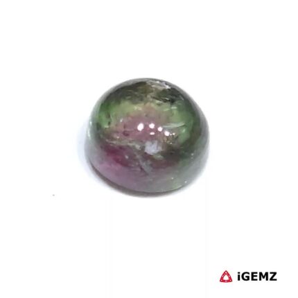 2.7 ct Bi-Colour Tourmaline - iGemz31760 gemstone for sale at igemz.co.za