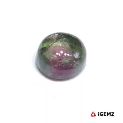 2.7 ct Bi-Colour Tourmaline - iGemz31760 gemstone for sale at igemz.co.za