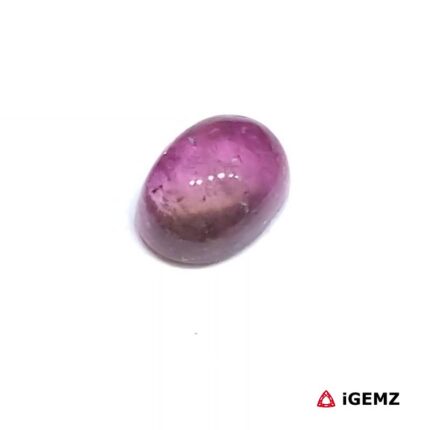 1.45 ct Bi-Colour Tourmaline - iGemz31766 gemstone for sale at igemz.co.za