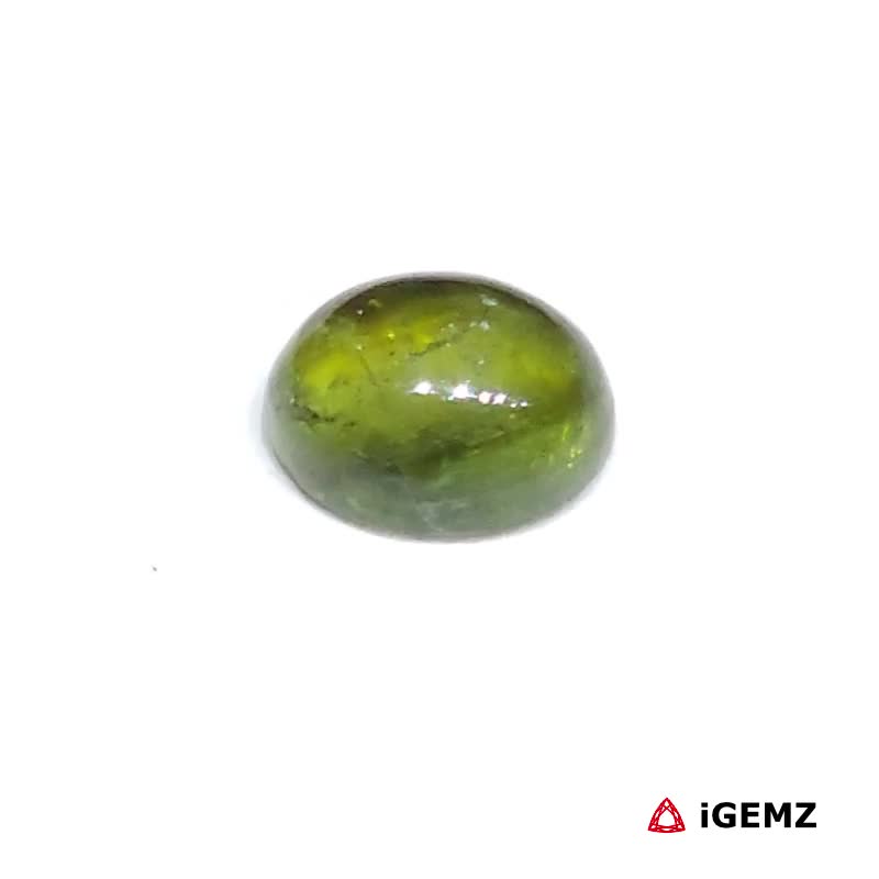 iGemz31781.1 1.46 ct Green Tourmaline - iGemz31781 gemstone for sale at igemz.co.za