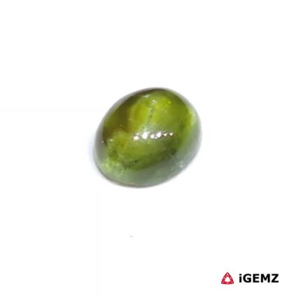1.46 ct Green Tourmaline - iGemz31781 gemstone for sale at igemz.co.za