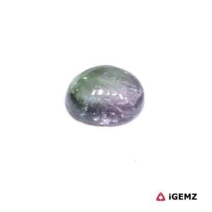 1.48 ct Bi-Colour Tourmaline - iGemz31783 gemstone for sale at igemz.co.za