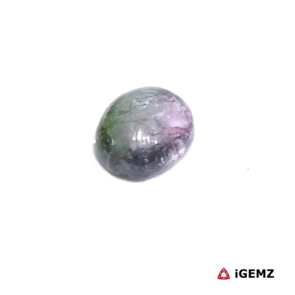1.48 ct Bi-Colour Tourmaline - iGemz31783 gemstone for sale at igemz.co.za