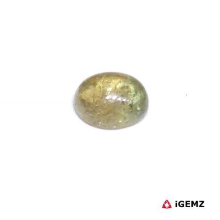 0.89 ct Green Tourmaline - iGemz31786 gemstone for sale at igemz.co.za