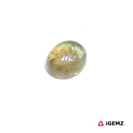0.89 ct Green Tourmaline - iGemz31786 gemstone for sale at igemz.co.za