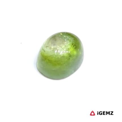2.45 ct Green Tourmaline - iGemz31788 gemstone for sale at igemz.co.za