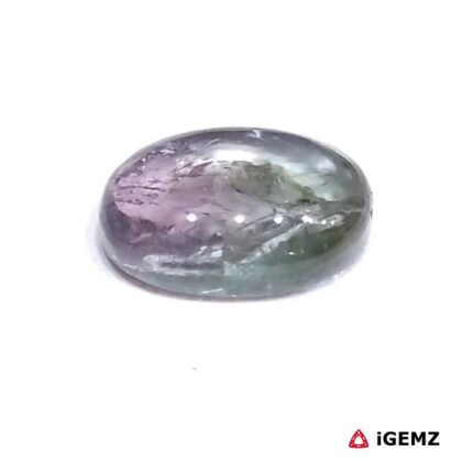 3.07 ct Bi-Colour Tourmaline - iGemz31810 gemstone for sale at igemz.co.za