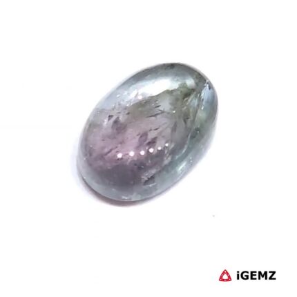 3.07 ct Bi-Colour Tourmaline - iGemz31810 gemstone for sale at igemz.co.za