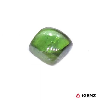 1.63 ct Green Tourmaline - iGemz31811 gemstone for sale at igemz.co.za