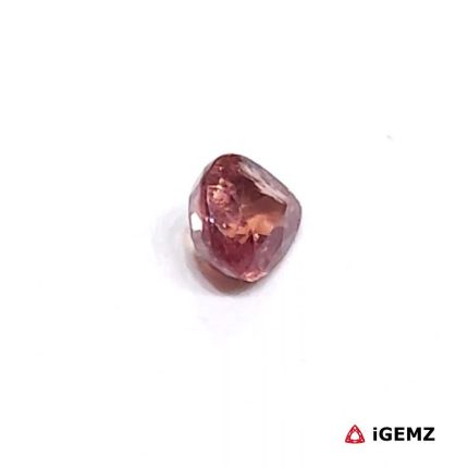 0.54 ct Padparadscha Sapphire - iGemz25234