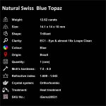 Natural Swiss Blue Topaz 12.62 ct Loose Gemstone | iGemz20531 gemstone for sale at igemz.co.za