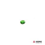 Natural Green Tourmaline 0.06 ct Loose Gemstone | iGemz22619 gemstone for sale at igemz.co.za