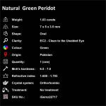 Natural Green Peridot 1.03 ct Loose Gemstone | iGemz22717 gemstone for sale at igemz.co.za
