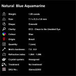 Natural Blue Aquamarine 1.09 ct Loose Gemstone | iGemz22303 gemstone for sale at igemz.co.za