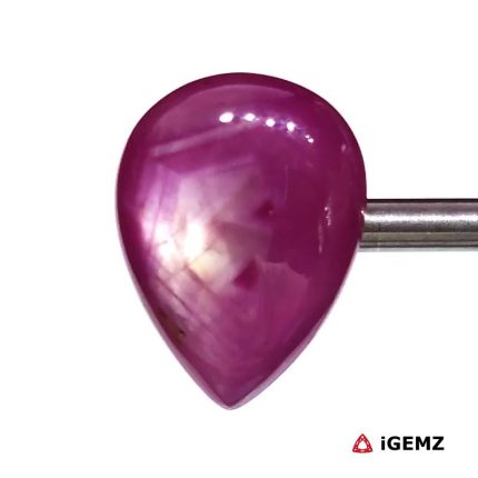 14.47 ct Red Star Ruby - iGemz24711 gemstone for sale at igemz.co.za