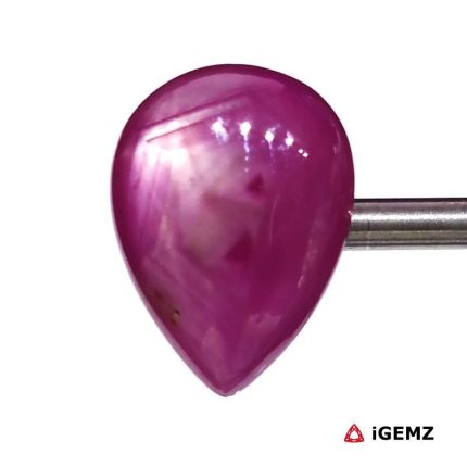 14.47 ct Red Star Ruby - iGemz24711 gemstone for sale at igemz.co.za