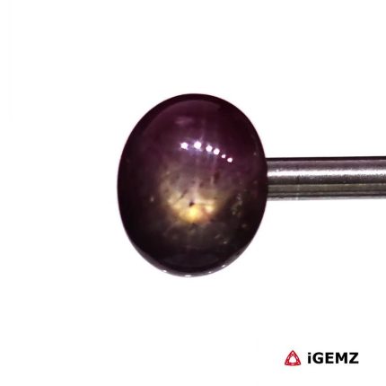 7.63 ct Red Star Ruby - iGemz24712 gemstone for sale at igemz.co.za