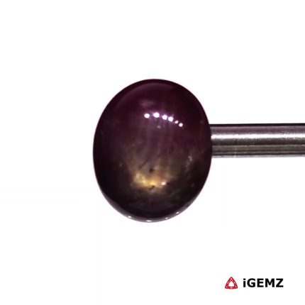 7.63 ct Red Star Ruby - iGemz24712 gemstone for sale at igemz.co.za