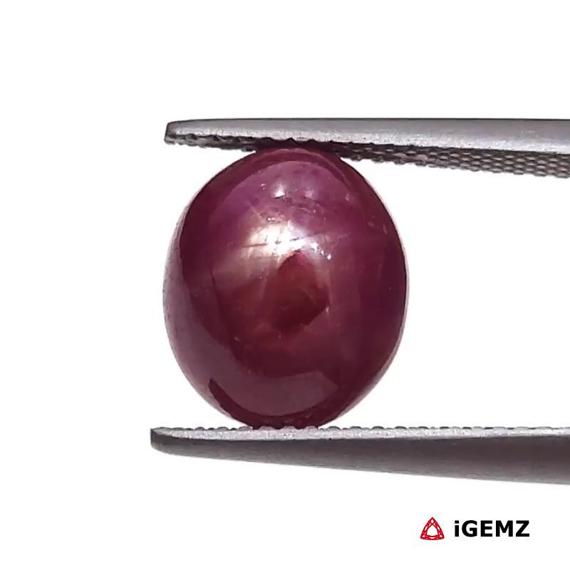 iGemz25785.1 8.04 ct Red Star Star Ruby - iGemz25785