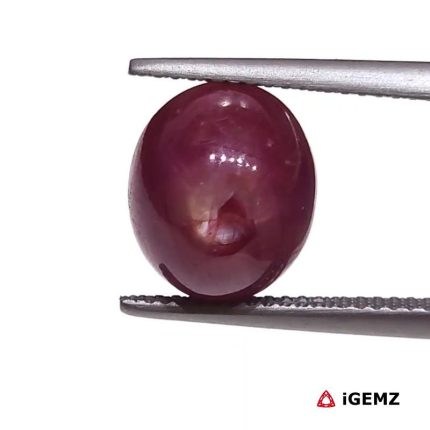 8.04 ct Red Star Star Ruby - iGemz25785
