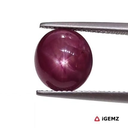 6.4 ct Red Star Star Ruby - iGemz25786