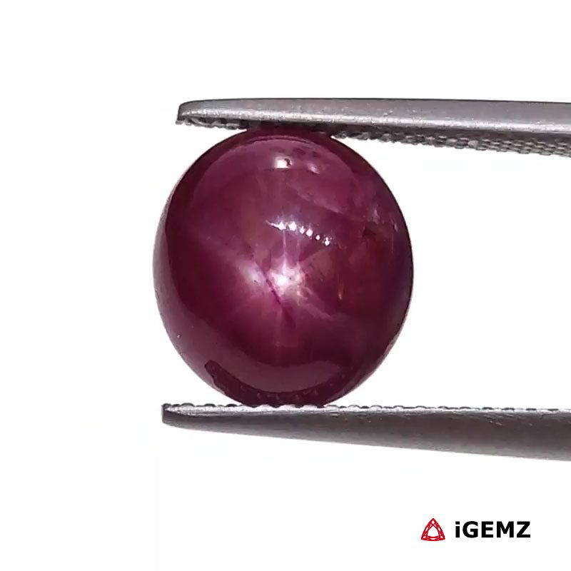 iGemz25786.1 6.4 ct Red Star Star Ruby - iGemz25786