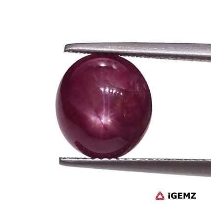 6.4 ct Red Star Star Ruby - iGemz25786
