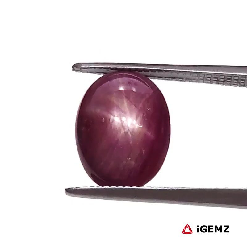 iGemz25787.1 4.9 ct Red Star Star Ruby - iGemz25787