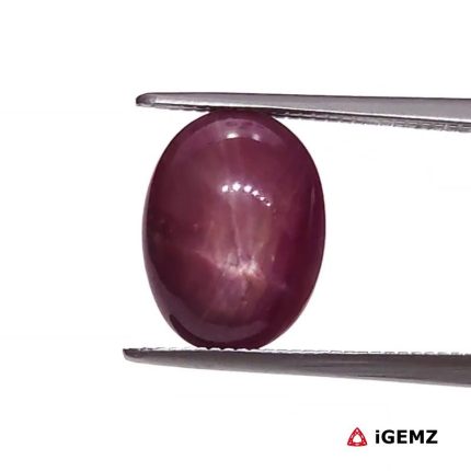 4.9 ct Red Star Star Ruby - iGemz25787