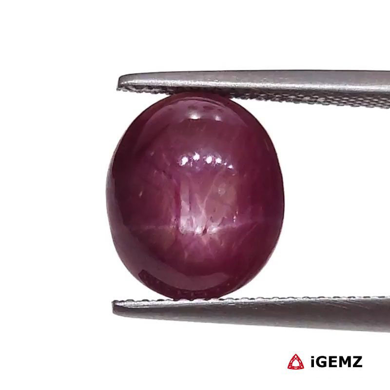 iGemz25788.1 8.21 ct Red Star Star Ruby - iGemz25788