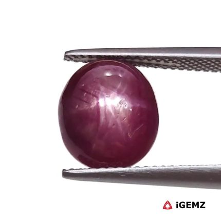 8.21 ct Red Star Star Ruby - iGemz25788
