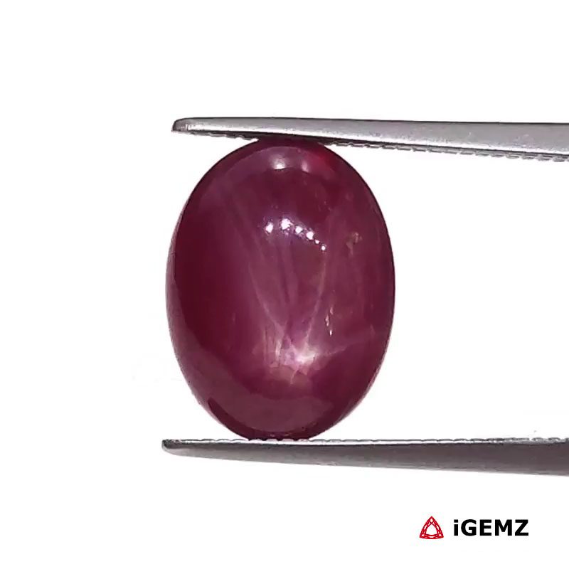 iGemz25789.1 6.38 ct Red Star Star Ruby - iGemz25789