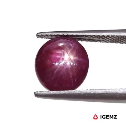 5.34 ct Red Star Star Ruby - iGemz25790