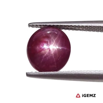 5.34 ct Red Star Star Ruby - iGemz25790