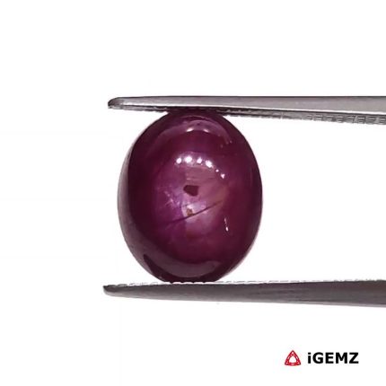 5.35 ct Red Star Star Ruby - iGemz25791