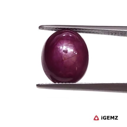 5.35 ct Red Star Star Ruby - iGemz25791