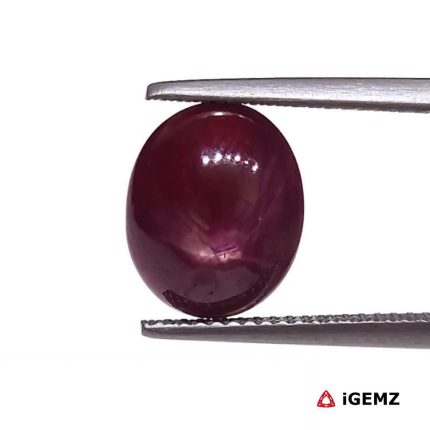 5.48 ct Red Star Star Ruby - iGemz25793