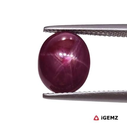 5.48 ct Red Star Star Ruby - iGemz25793