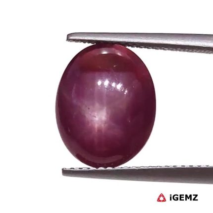 8.75 ct Red Star Star Ruby - iGemz25794