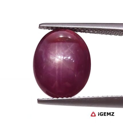 8.75 ct Red Star Star Ruby - iGemz25794