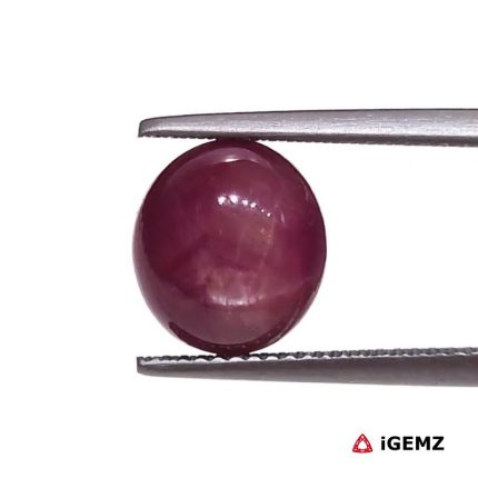 6.73 ct Red Star Star Ruby - iGemz25795